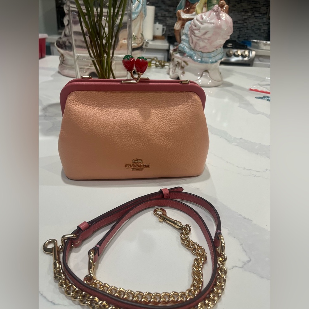 Coach Nora Strawberry  kiss lock purse